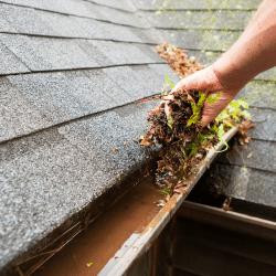 Clean Gutters and Downspouts